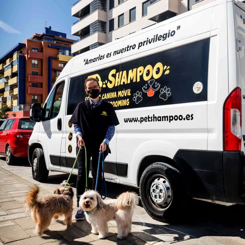 petshampoo-servicios-2