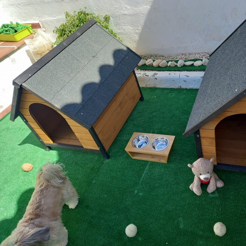 petshampoo-alojamiento-2